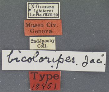 Media type: image; Entomology 18451   Aspect: labels